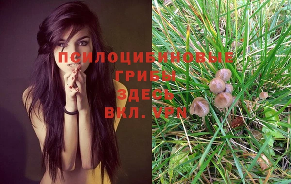 MESCALINE Абаза