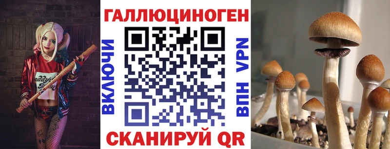 цены   Тулун  Галлюциногенные грибы прущие грибы 